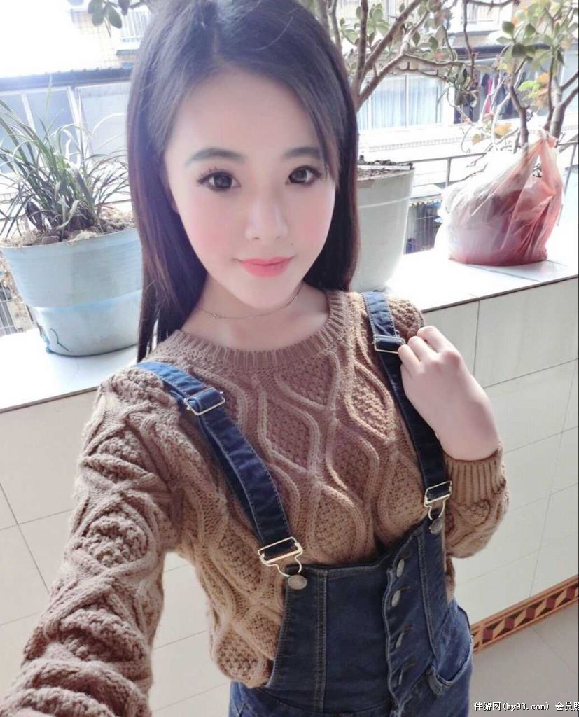 伴君游天下