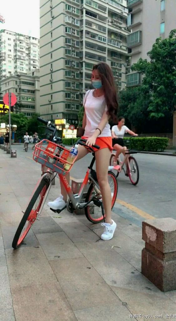 彩色布谷鸟