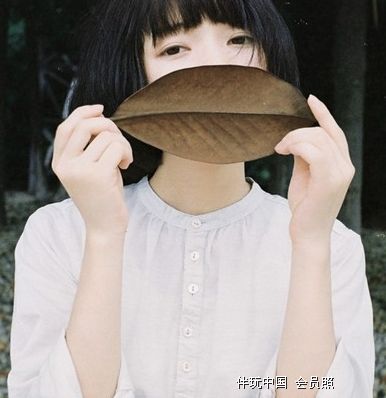 莲