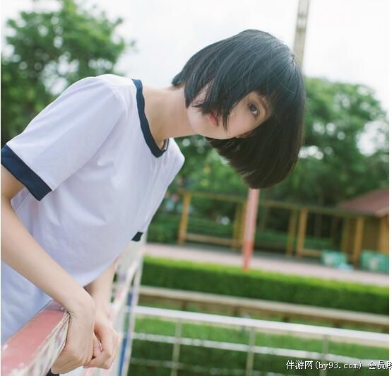 天山雪莲