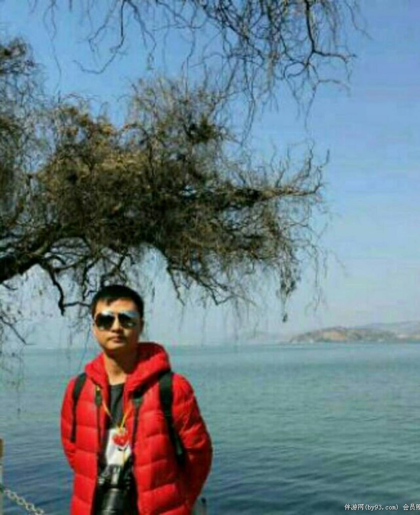 达芬奇的特斯拉
